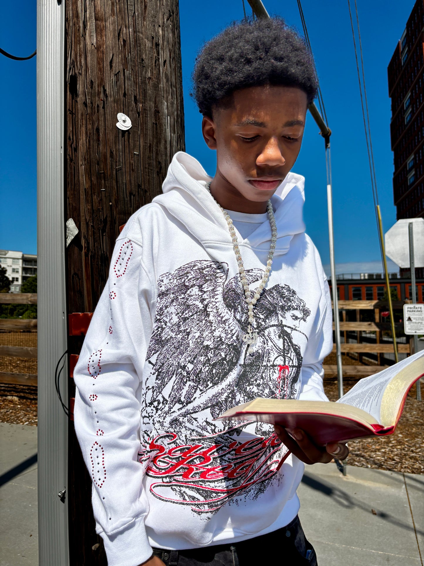 Healing Angel Hoodie